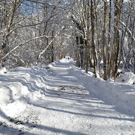 La Cle Des Bois Alojamento de Acomodação e Pequeno-almoço Le Bourg-dʼOisans